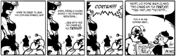 Tira